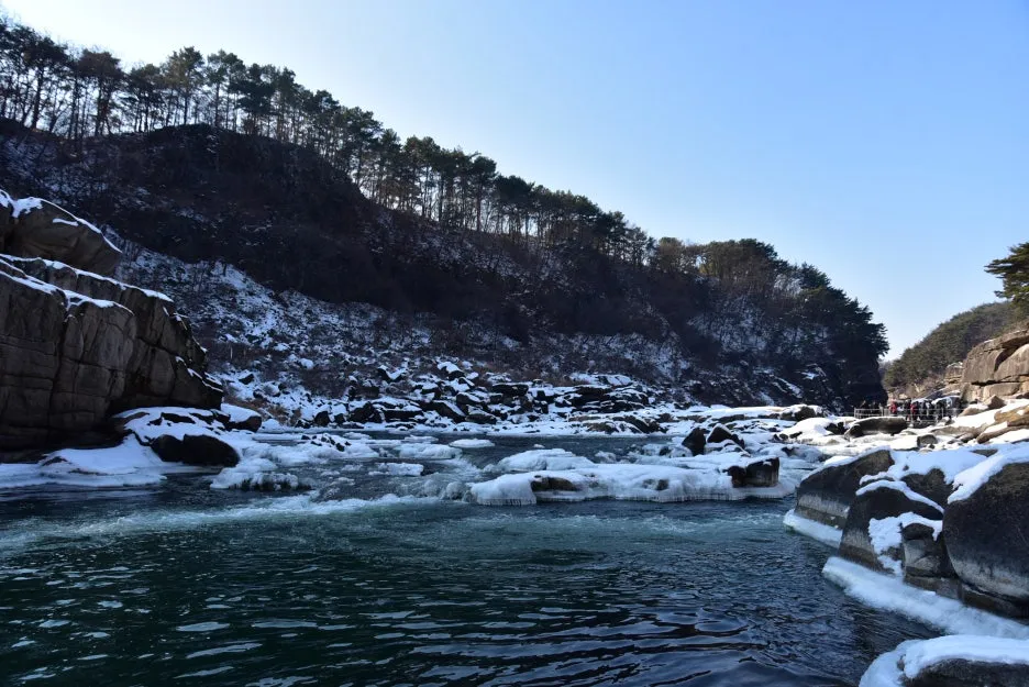 1%EC%9B%9412%EC%9D%BC_(158).JPG?type=w1