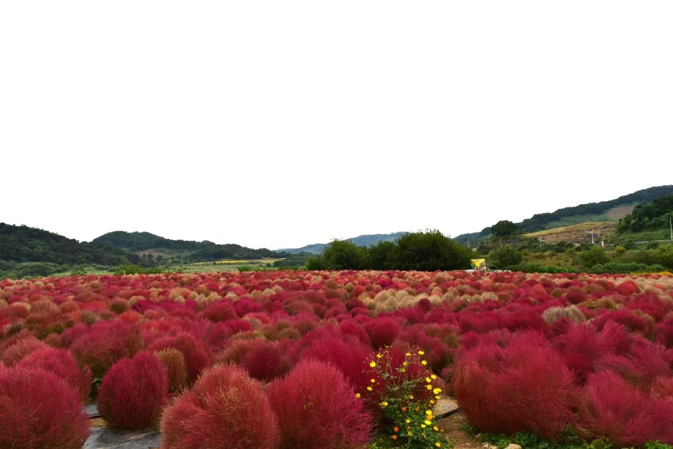 10%EC%9B%9414%EC%9D%BC_(68).JPG?type=w966