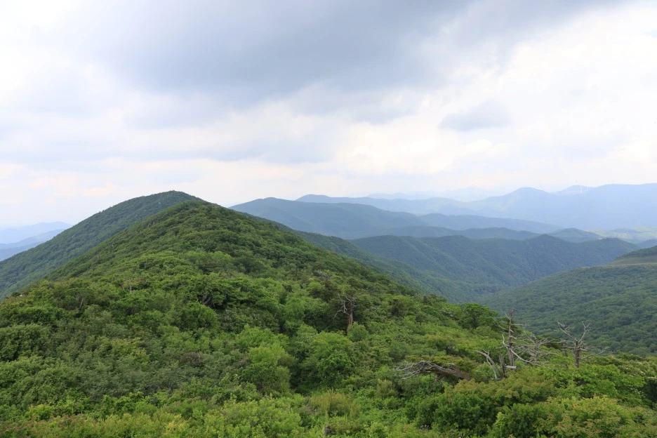 6%EC%9B%9414%EC%9D%BC_(253).JPG?type=w1