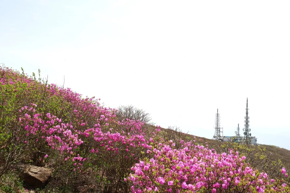 4%EC%9B%9428%EC%9D%BC_(60).JPG?type=w1