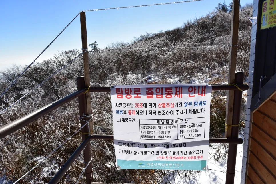 11%EC%9B%9426%EC%9D%BC_(177).JPG?type=w966