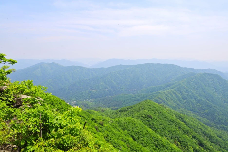 5%EC%9B%9410%EC%9D%BC_(132).JPG?type=w1