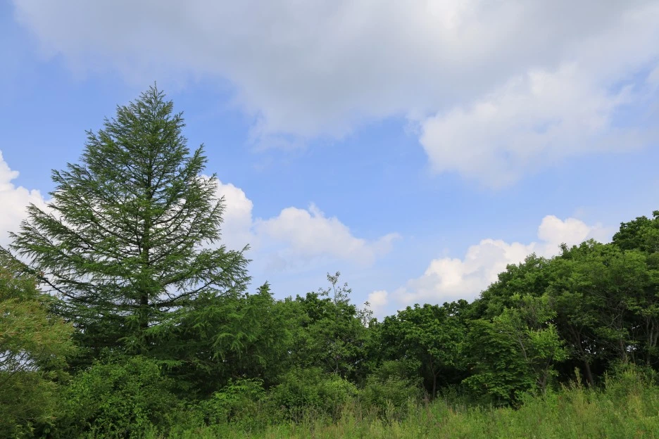 6%EC%9B%9414%EC%9D%BC_(58).JPG?type=w1