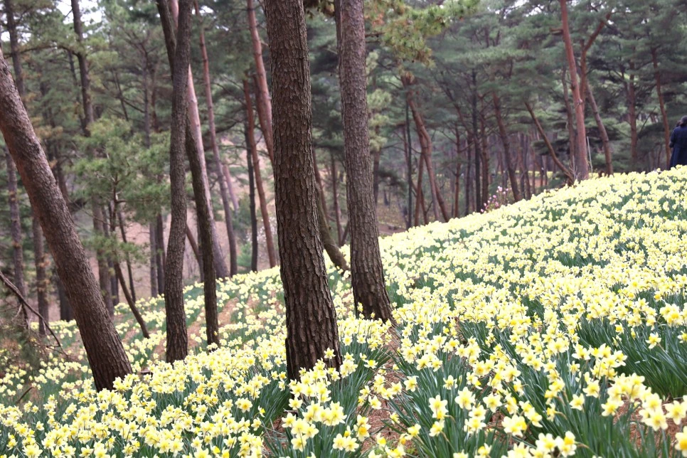 4%EC%9B%945%EC%9D%BC_(59).JPG?type=w966