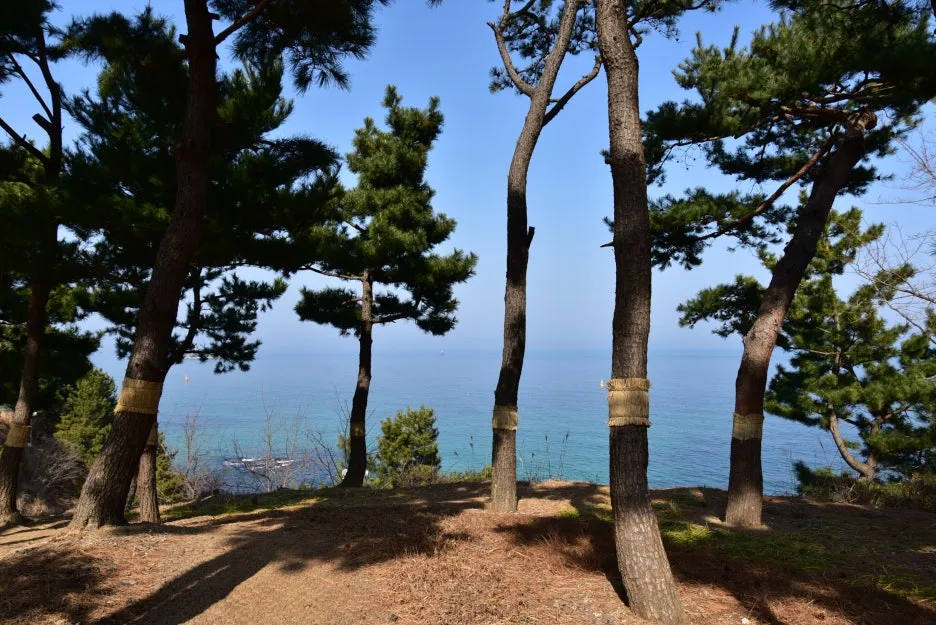 3%EC%9B%9411%EC%9D%BC_(36).JPG?type=w1