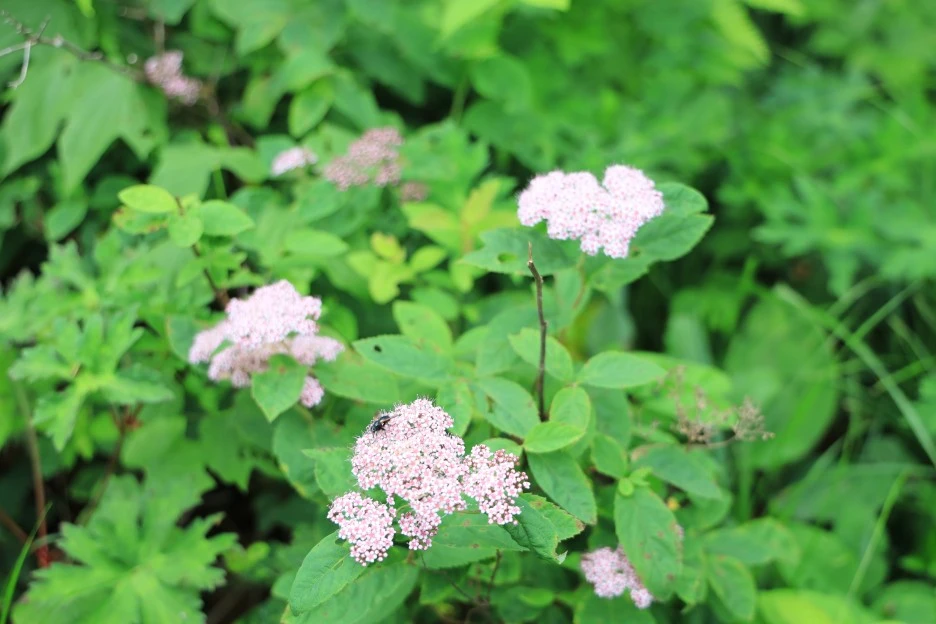 6%EC%9B%9428%EC%9D%BC_(349).JPG?type=w1