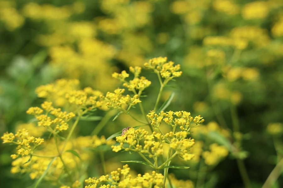 SE-1688d544-f2cb-4f4b-8919-d901f4185290.jpg?type=w1