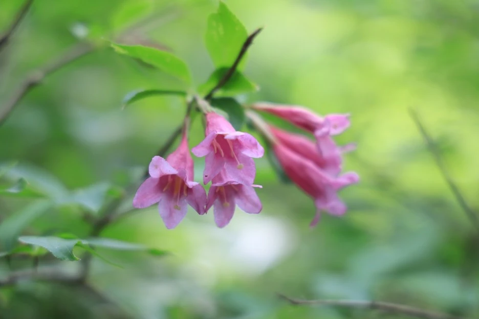 6%EC%9B%9414%EC%9D%BC_(109).JPG?type=w1