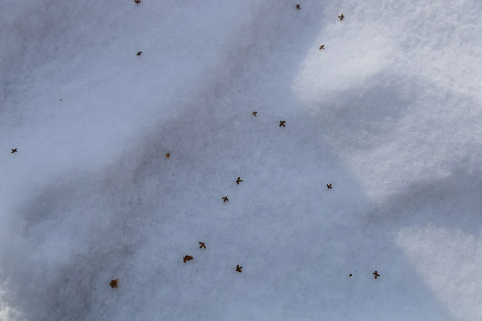 12%EC%9B%9426%EC%9D%BC_(76).JPG?type=w966