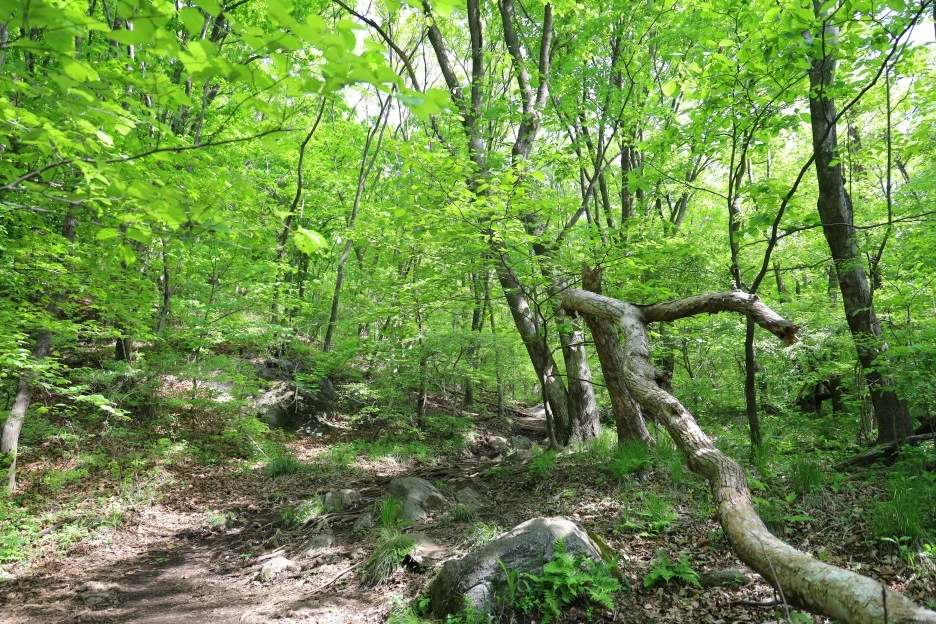 5%EC%9B%9410%EC%9D%BC_(27).JPG?type=w1