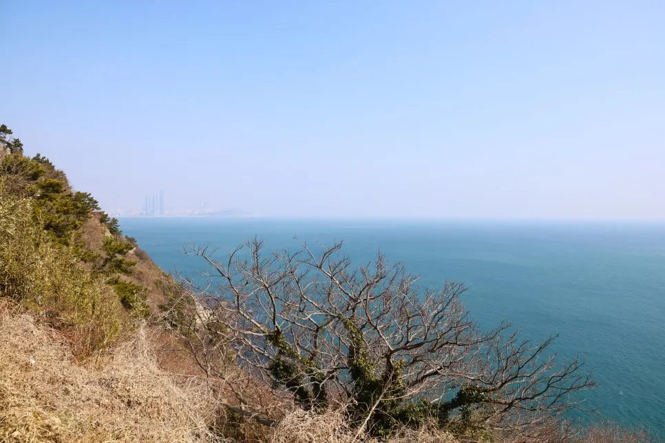 2%EC%9B%9426%EC%9D%BC_(23).JPG?type=w966