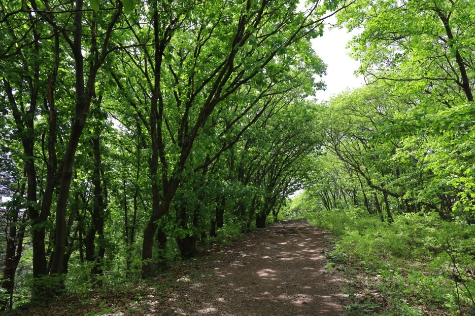 5%EC%9B%9410%EC%9D%BC_(88).JPG?type=w1