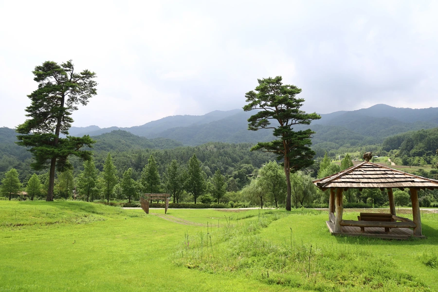 SE-1cc473ea-ee52-401d-adae-c7d58d474e5c.jpg?type=w1