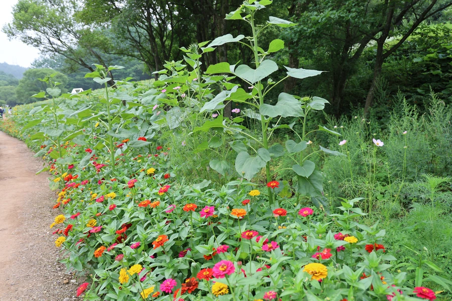 SE-9ab577df-e76d-440e-ac18-0ddba0e4ba01.jpg?type=w1