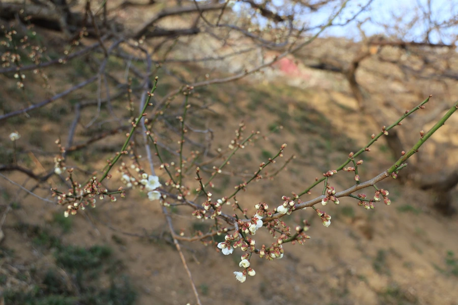 SE-fb1ae538-6c3a-4994-a21b-ca2f2251f570.jpg?type=w1