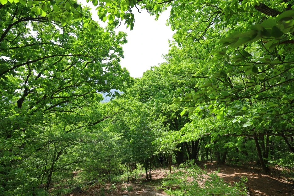 5%EC%9B%9410%EC%9D%BC_(83).JPG?type=w1