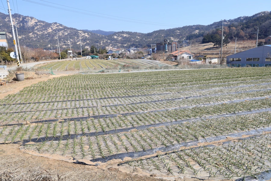 SE-5031ce47-e465-45e0-90c2-c961b124b815.jpg?type=w1