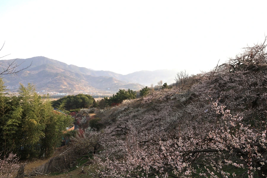 SE-8c1f6016-d34c-461d-8c28-e37ad1f14dec.jpg?type=w1