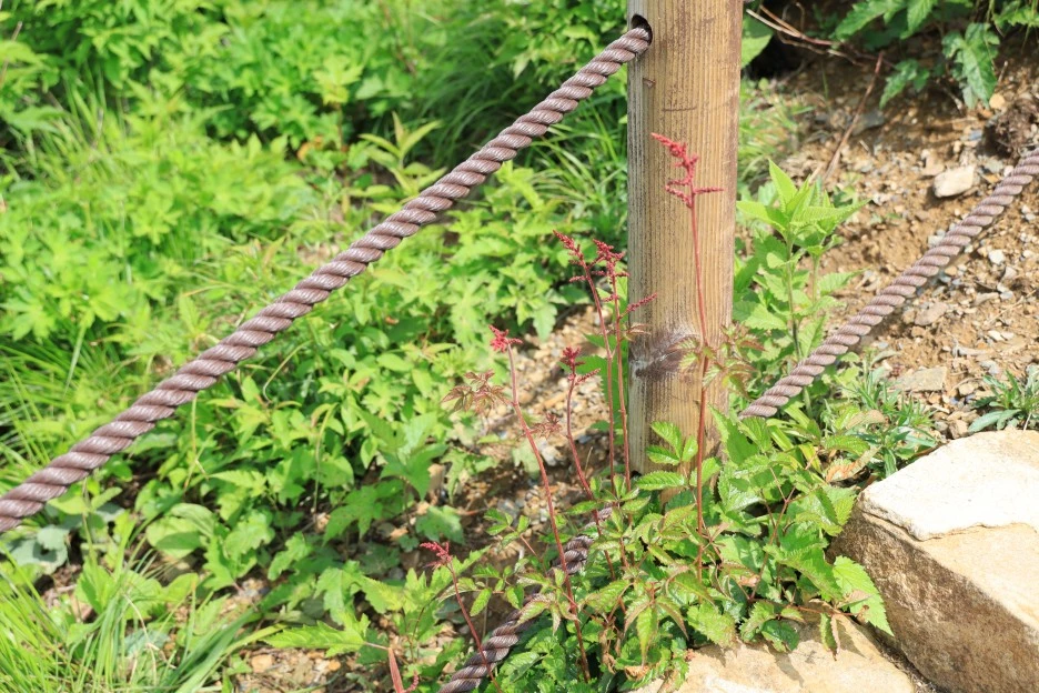 6%EC%9B%9414%EC%9D%BC_(133).JPG?type=w1