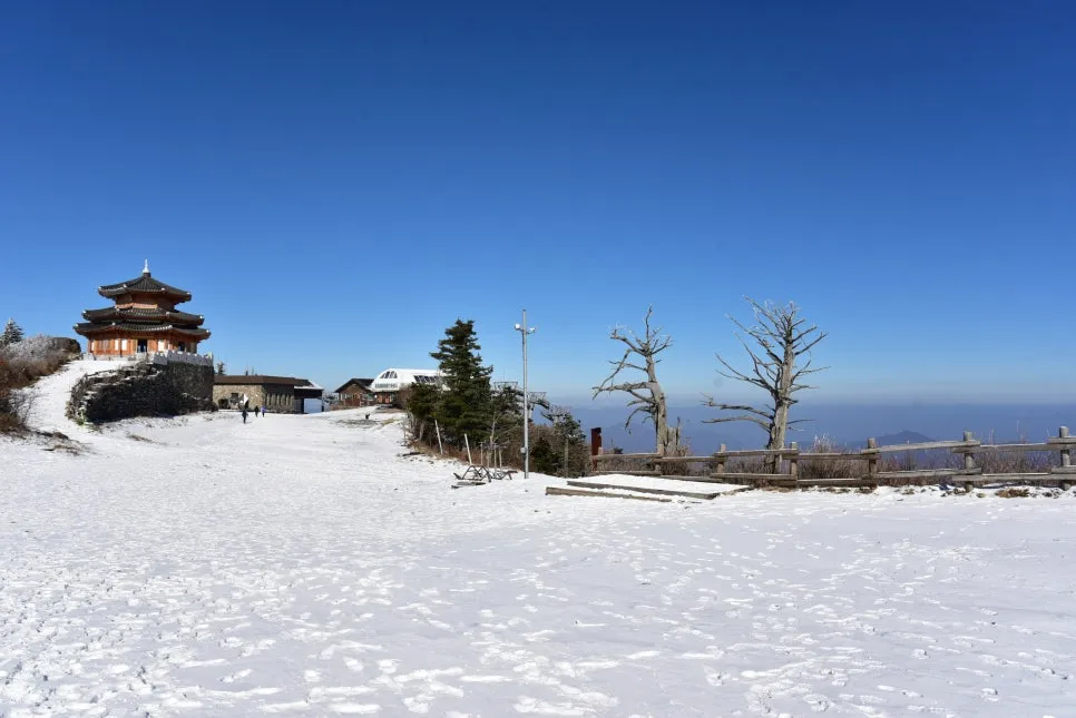 11%EC%9B%9426%EC%9D%BC_(205).JPG?type=w966