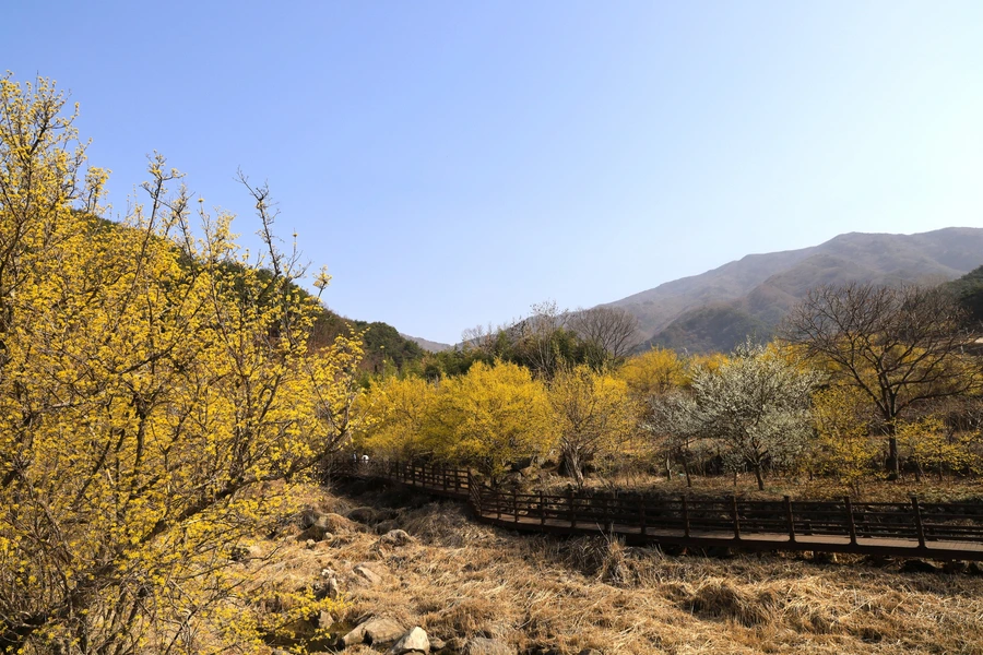 SE-9bbf6853-52d7-46bc-aa74-14b237593345.jpg?type=w1