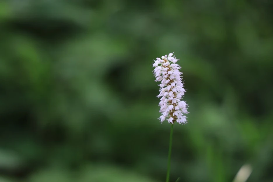 6%EC%9B%9414%EC%9D%BC_(24).JPG?type=w1