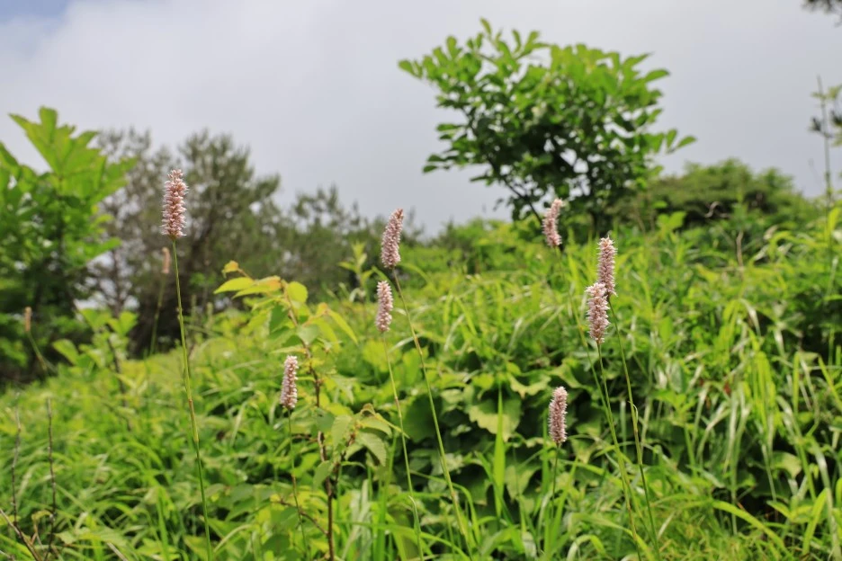 6%EC%9B%9428%EC%9D%BC_(159).JPG?type=w1