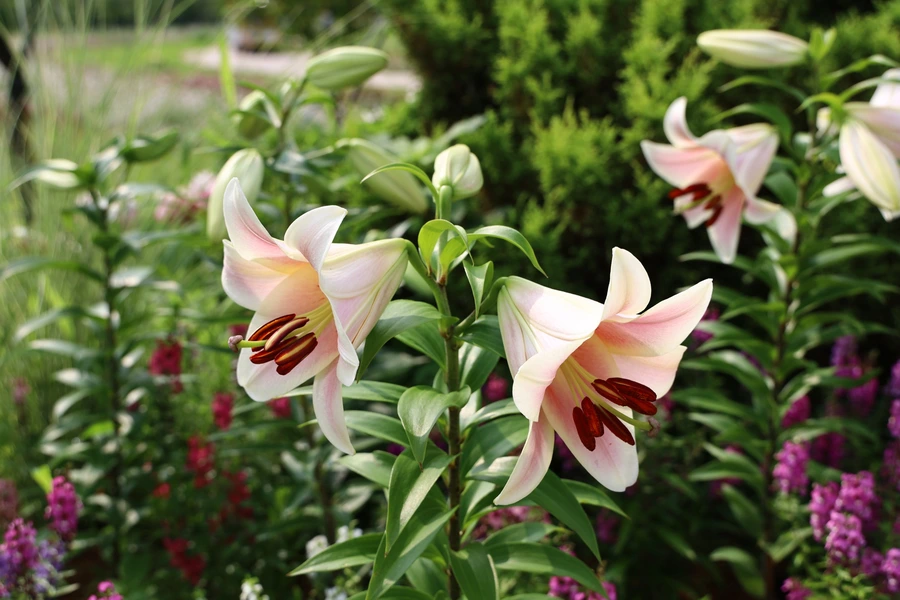 SE-ceb7d970-4894-4fa4-9232-1dd49f00bea0.jpg?type=w1