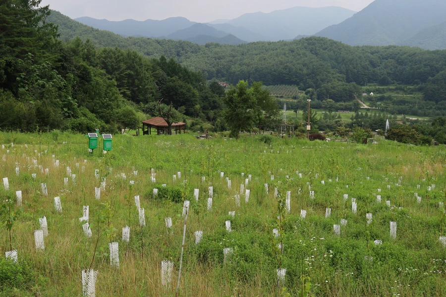 SE-68cff2cc-a489-4123-8f9f-f3904ab9401e.jpg?type=w1