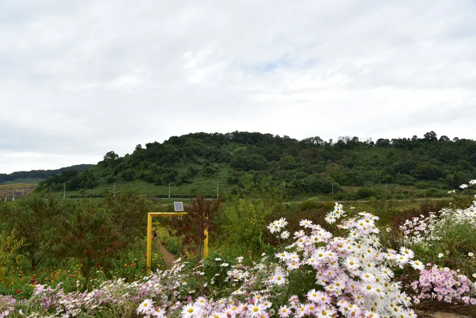 10%EC%9B%9414%EC%9D%BC_(67).JPG?type=w966