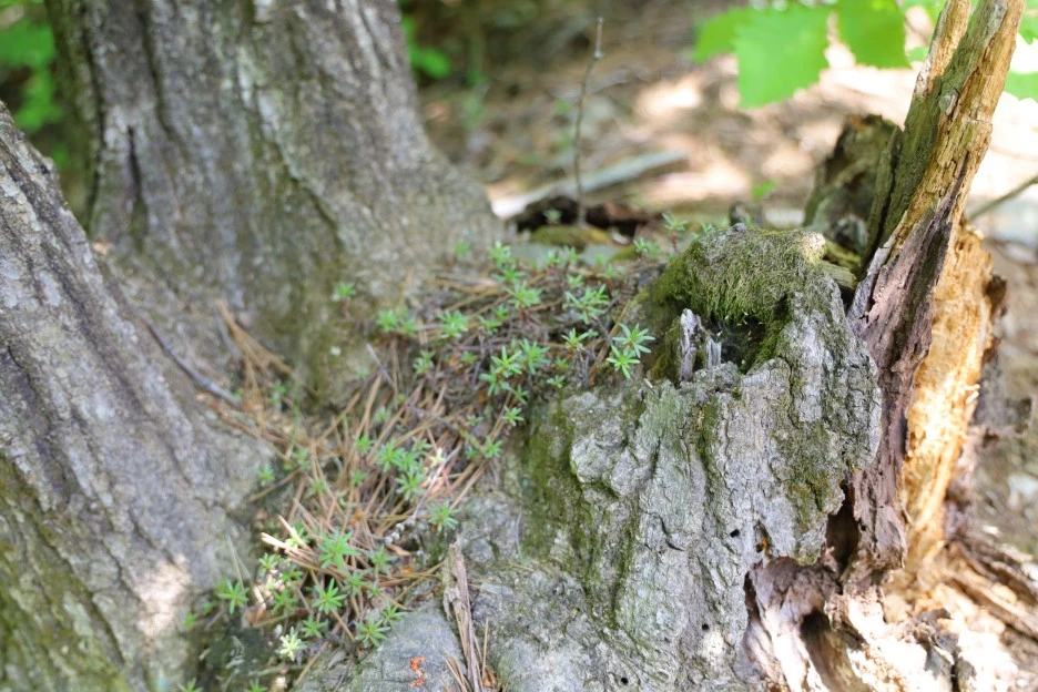 5%EC%9B%9410%EC%9D%BC_(164).JPG?type=w1