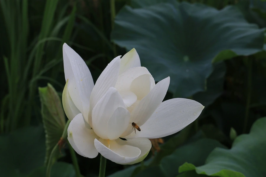 SE-cfa82a56-8c38-4e4e-9bf7-4ff9d3bd9217.jpg?type=w1