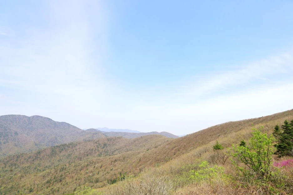 4%EC%9B%9428%EC%9D%BC_(33).JPG?type=w1