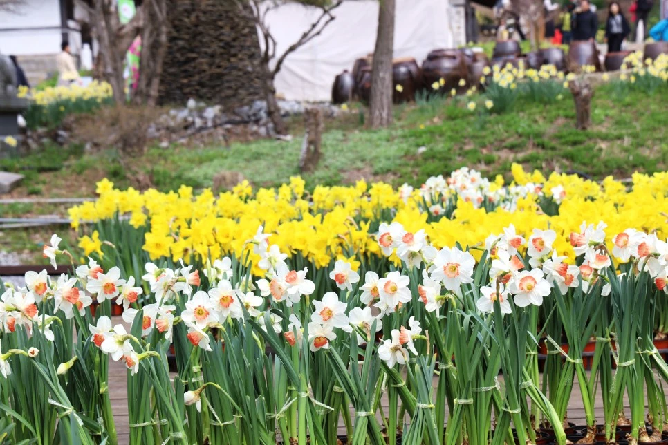 4%EC%9B%945%EC%9D%BC_(102).JPG?type=w966