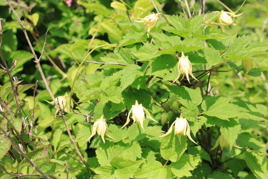 6%EC%9B%9414%EC%9D%BC_(260).JPG?type=w1