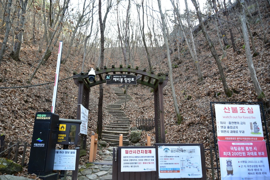 SE-a3cba727-f6b0-4714-813f-c87b2e3d24c2.jpg?type=w1