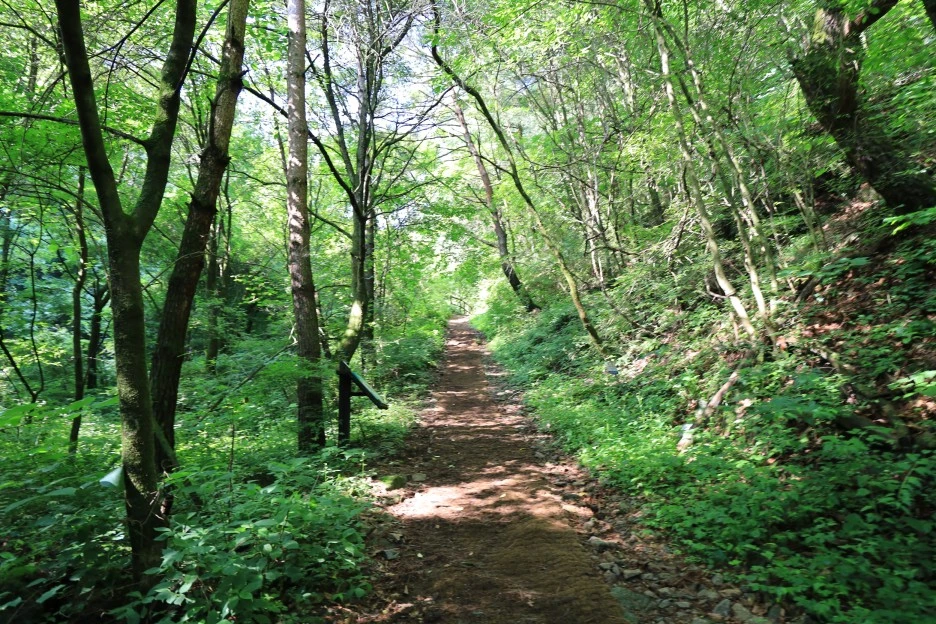 6%EC%9B%9428%EC%9D%BC_(28).JPG?type=w1