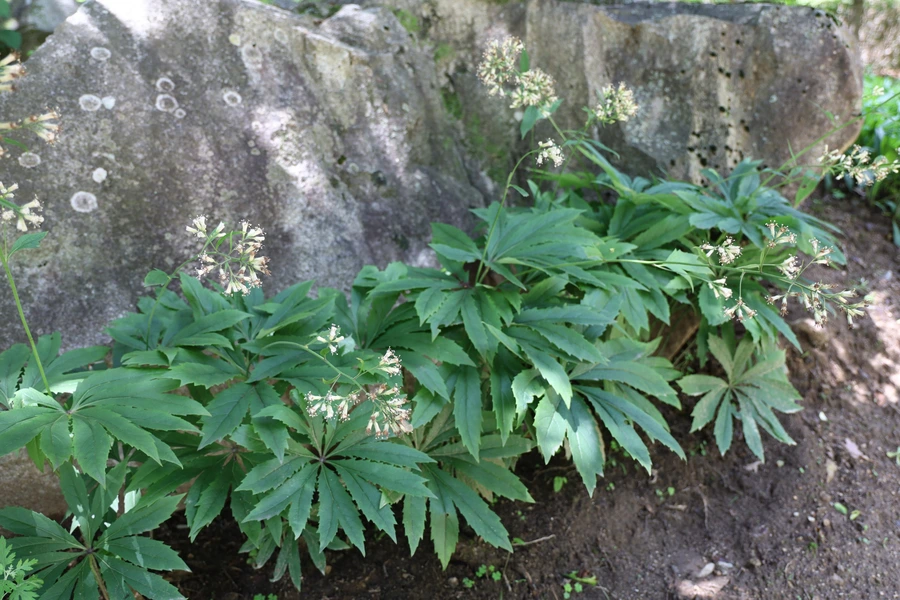 SE-47fbbe2f-d0f4-4381-88c8-433275af6460.jpg?type=w1