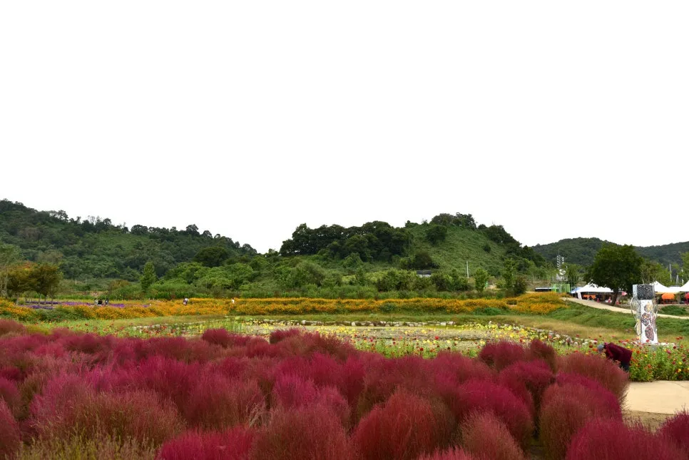 10%EC%9B%9414%EC%9D%BC_(33).JPG?type=w966