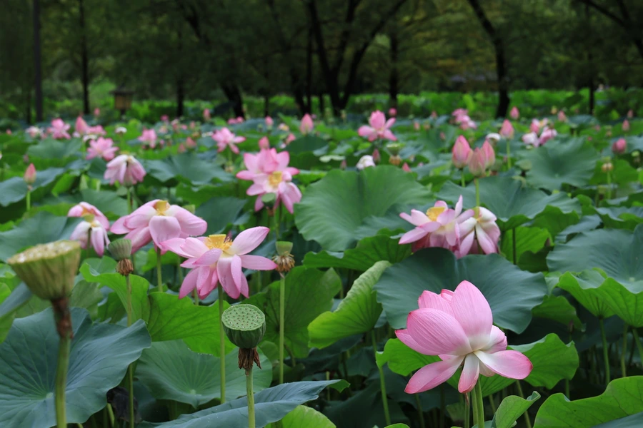 SE-ba442b82-8987-453d-8c4f-31ceb7c04353.jpg?type=w1