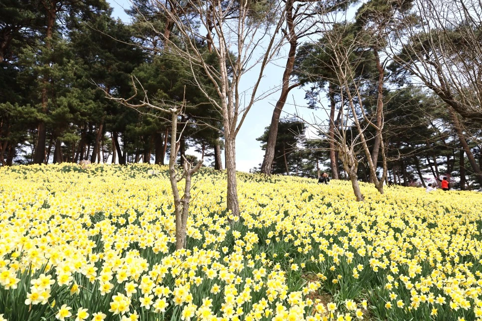 4%EC%9B%945%EC%9D%BC_(87).JPG?type=w966