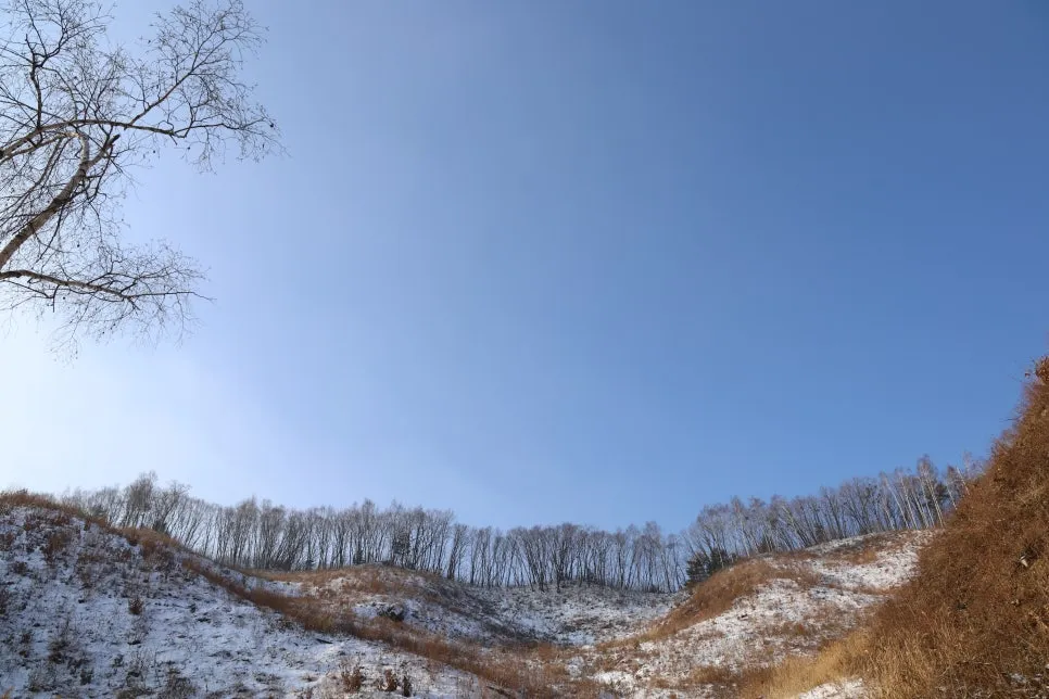 12%EC%9B%9426%EC%9D%BC_(11).JPG?type=w966