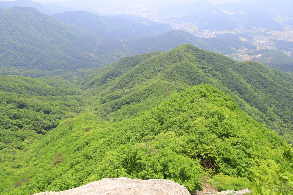 5%EC%9B%9410%EC%9D%BC_(144).JPG?type=w1