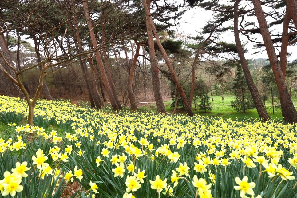 4%EC%9B%945%EC%9D%BC_(31).JPG?type=w966