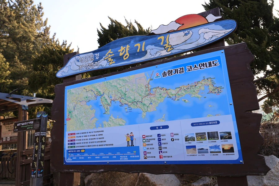 SE-e318d65a-4856-48cb-bf2a-b741e809e51b.jpg?type=w1