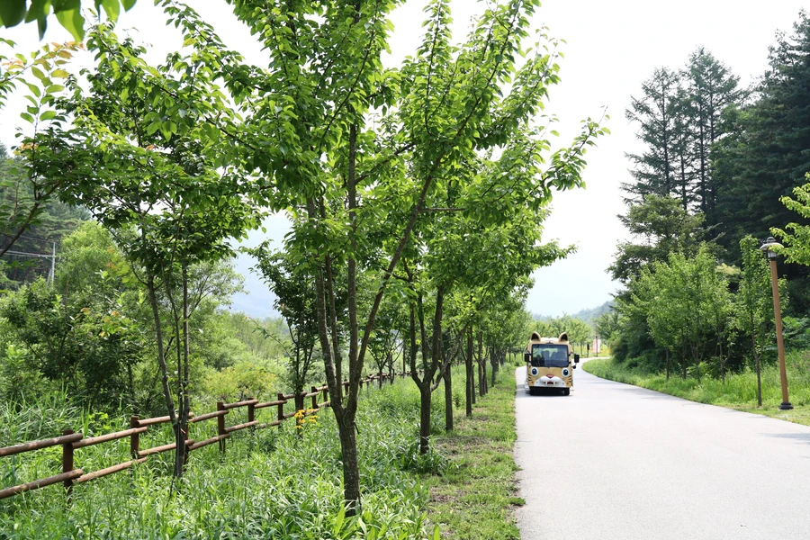 SE-438f0109-5704-4114-bbb1-fe0a604bd53b.jpg?type=w1