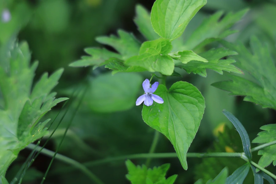 SE-2307afc4-9b9b-4ac3-8936-1efcc42ca217.jpg?type=w1