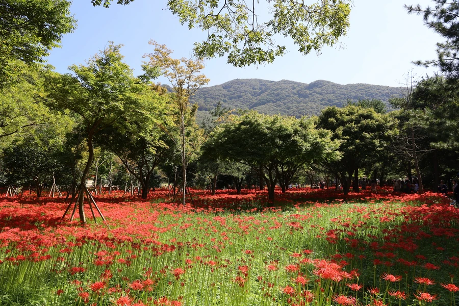 SE-5c3fd266-ab78-4176-ac2d-3970c39b0d7e.jpg?type=w1