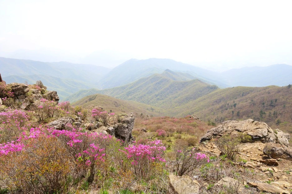 4%EC%9B%9428%EC%9D%BC_(81).JPG?type=w1