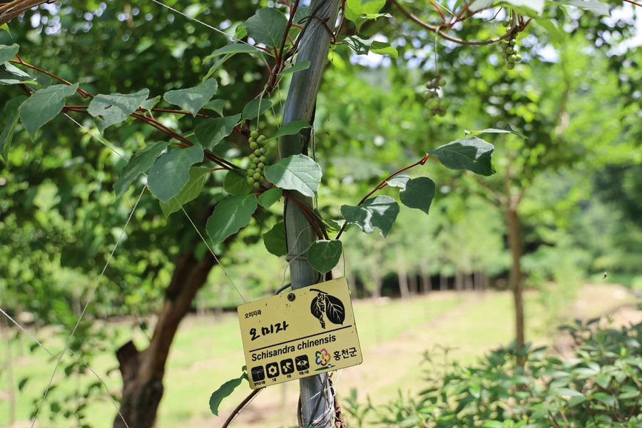 SE-e040b2f8-bea3-47d7-b887-f19c6bd32008.jpg?type=w1